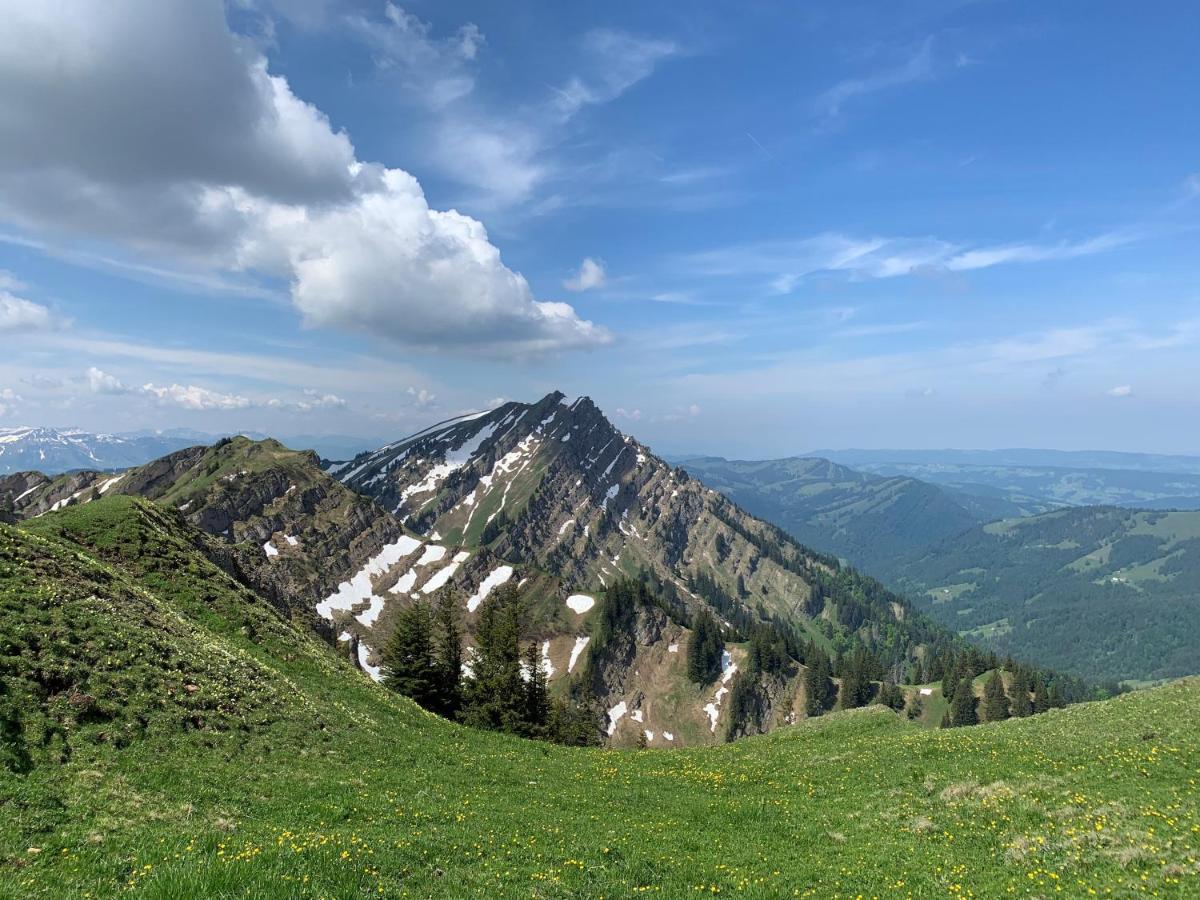 Apartmán Staufen Herz Oberstaufen Exteriér fotografie